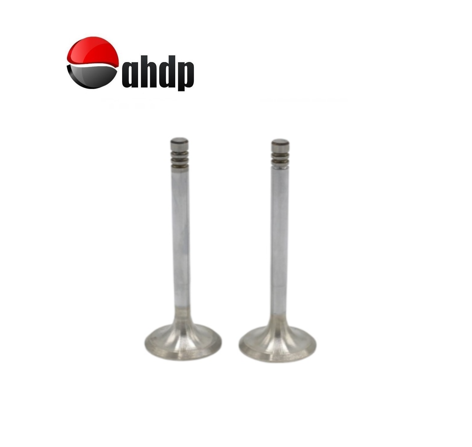 ENGINE VALVE SET IN+EX HATZ - HZ0103124310, HZ0103124310